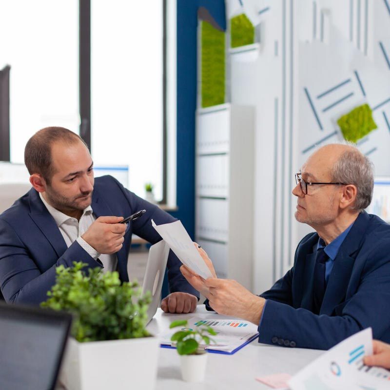 Business & Tax Consulting